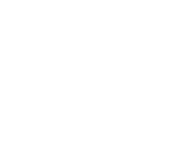 Swanson Legal Solutions, PLC logo